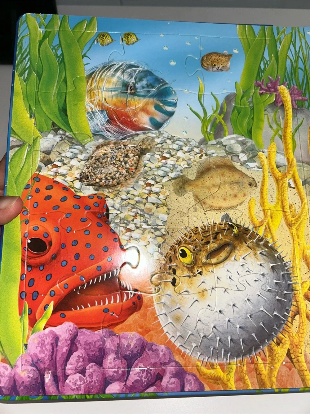 Usborne Under the Sea Jigsaw Large Board Book - Built in Puzzles